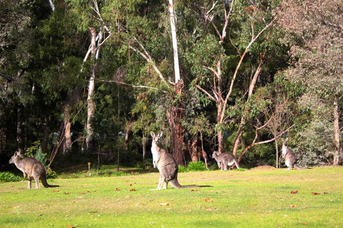 Marwood Villas - Accommodation Batemans Bay 28