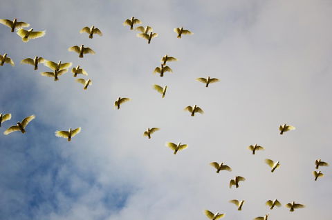 Marwood Villas - Accommodation Batemans Bay 36