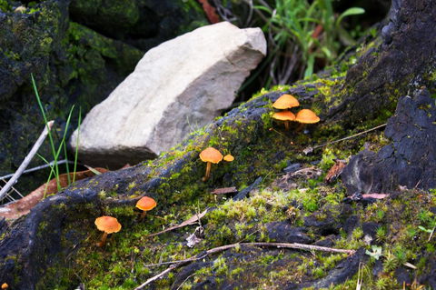 Marwood Villas - Accommodation Batemans Bay 29