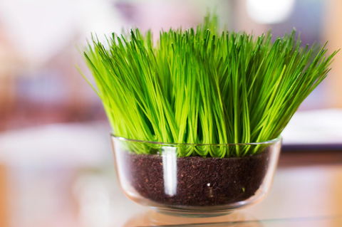 Marwood Villas - Accommodation Batemans Bay 17