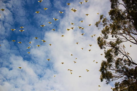 Marwood Villas - Accommodation Batemans Bay 26