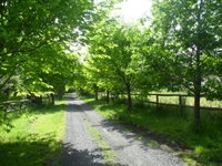 Book Wonga Park Accommodation Vacations Accommodation Batemans Bay Accommodation Batemans Bay