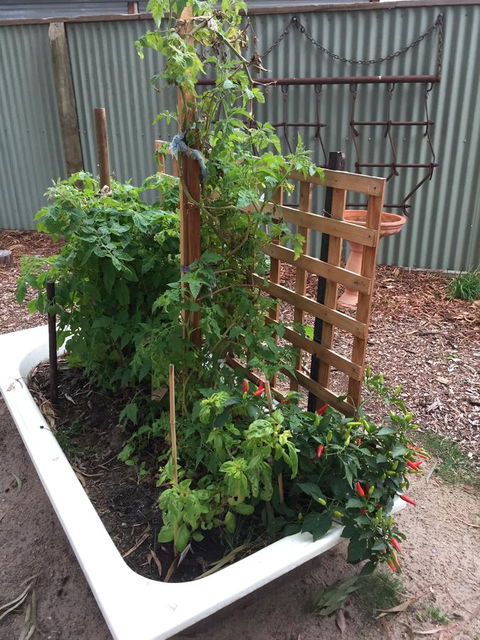 Grampians Pomonal Cottages - Accommodation Batemans Bay 28