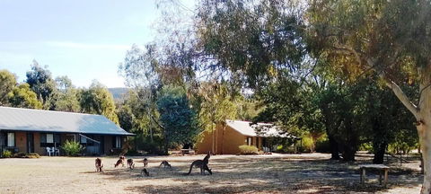 Grampians Pomonal Cottages - Accommodation Batemans Bay 6