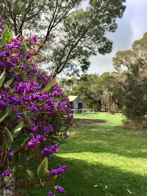 Grampians Pomonal Cottages - Accommodation Batemans Bay 21