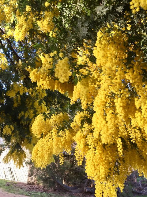 Grampians Pomonal Cottages - Accommodation Batemans Bay 5