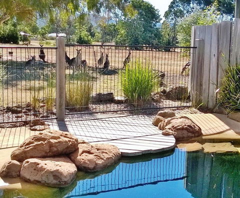 Grampians Pomonal Cottages - Accommodation Batemans Bay 24