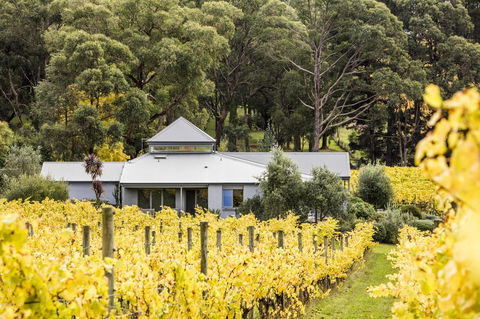 Polperro Villas - Accommodation Batemans Bay 22