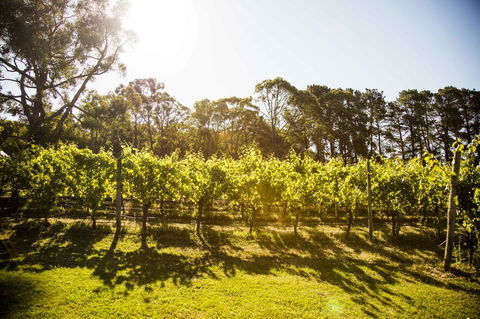 Polperro Villas - Accommodation Batemans Bay 18