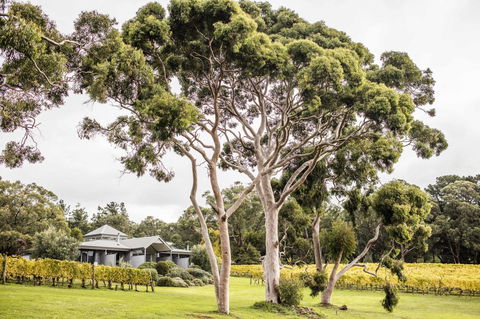Polperro Villas - Accommodation Batemans Bay 20