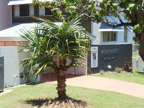 Whale Watch Ocean Beach Resort - Accommodation Batemans Bay 15