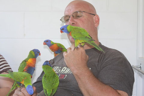 Amaroo On Mandalay, Magnetic Island - Accommodation Batemans Bay 33