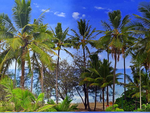 By The Sea Port Douglas - Accommodation Batemans Bay 3