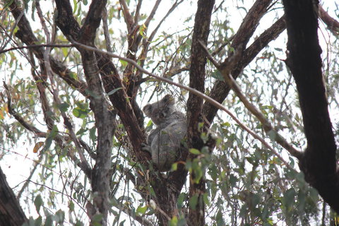 Granite Belt Retreat And Brewery - Accommodation Batemans Bay 20