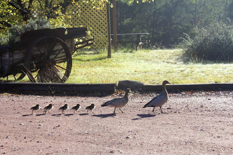 Granite Belt Retreat And Brewery - Accommodation Batemans Bay 22