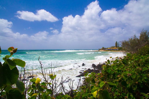 Rainbow Bay Backpackers - Accommodation Batemans Bay 0