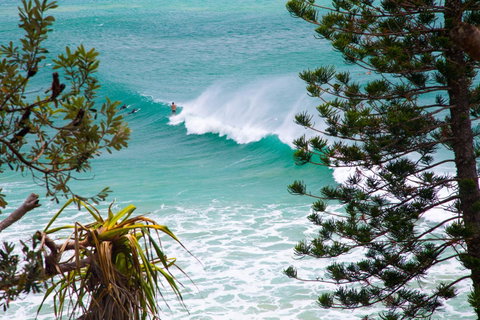Rainbow Bay Backpackers - Accommodation Batemans Bay 15