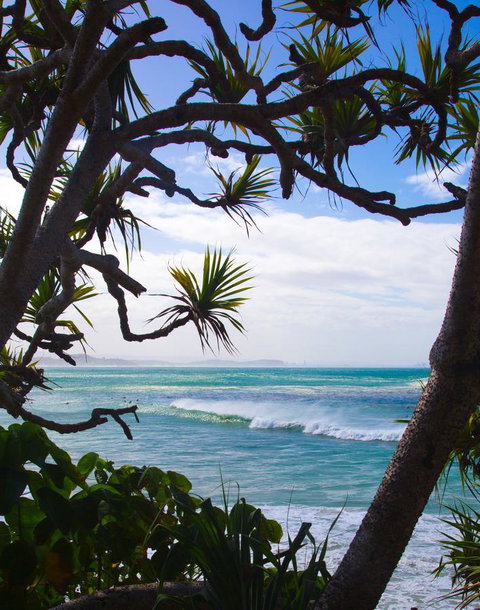 Rainbow Bay Backpackers - Accommodation Batemans Bay 25