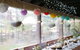The Bearded Dragon Boutique Hotel - thumb 24