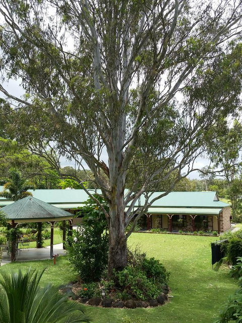 The Bearded Dragon Boutique Hotel - Accommodation Batemans Bay 32
