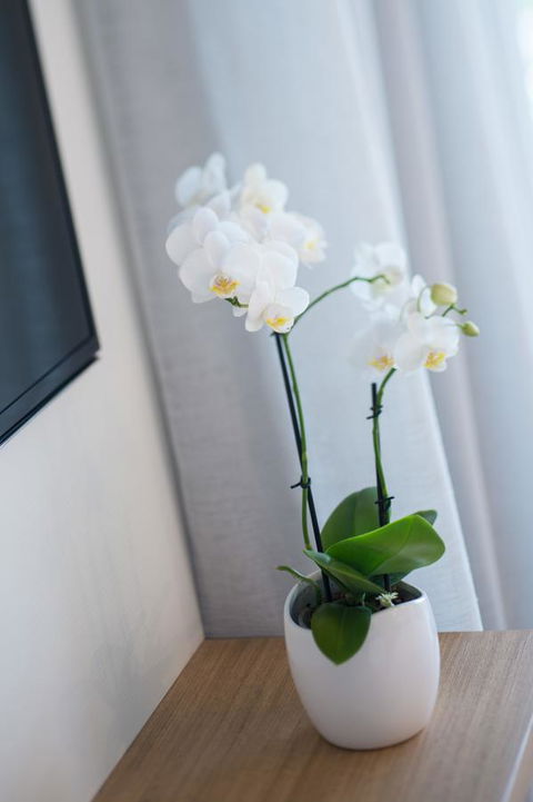 Heart Hotel And Gallery Whitsundays - Accommodation Batemans Bay 28