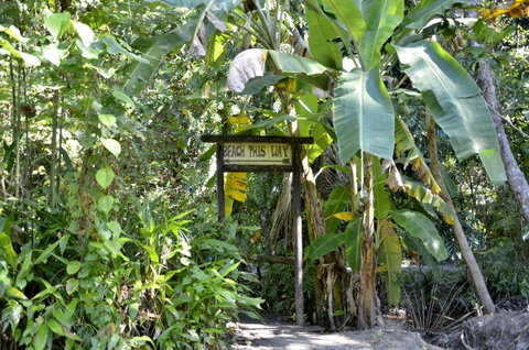 PK\'s Jungle Village - Accommodation Batemans Bay 23