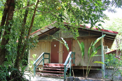 PK\'s Jungle Village - Accommodation Batemans Bay 6