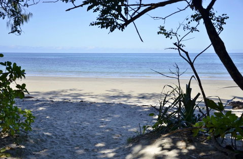 PK\'s Jungle Village - Accommodation Batemans Bay 26
