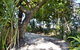 PK\'s Jungle Village - thumb 28