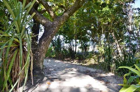 PK\'s Jungle Village - Accommodation Batemans Bay 28