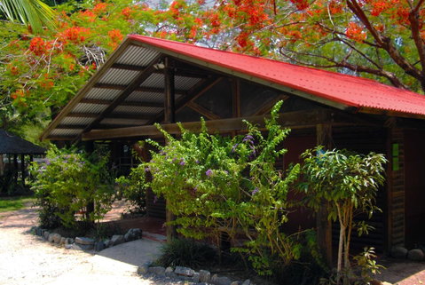 PK\'s Jungle Village - Accommodation Batemans Bay 10