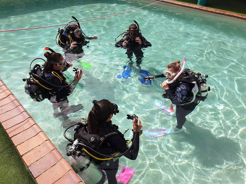 Backpackers In Paradise 18-35 Hostel - Accommodation Batemans Bay 18