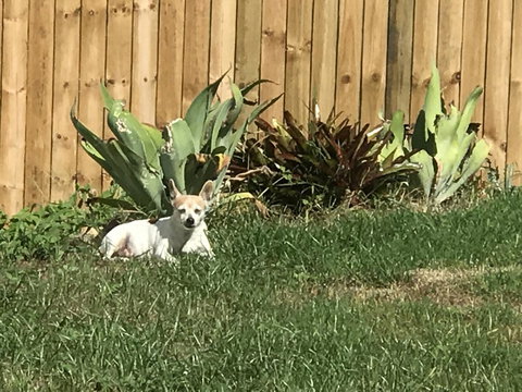 Whitsunday Luxury Homes - Accommodation Batemans Bay 42