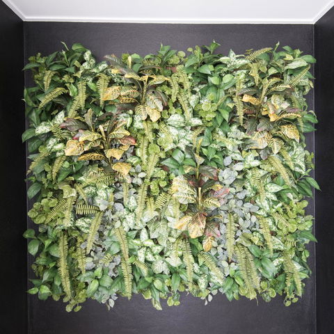 Riviera Mackay - Accommodation Batemans Bay 22