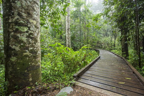 Riviera Mackay - Accommodation Batemans Bay 25