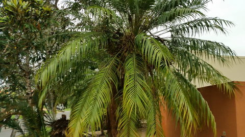 Hepburn Holiday Haven - Accommodation Batemans Bay 26