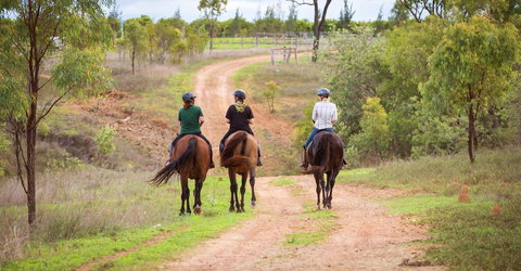 Ironbark House - Accommodation Batemans Bay 22