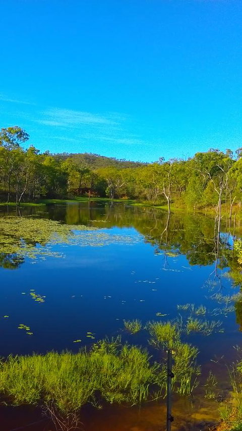 Ironbark House - Accommodation Batemans Bay 21
