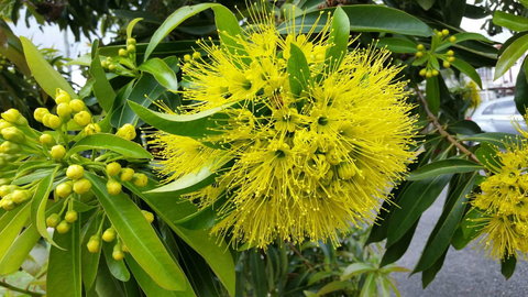 VILY Place - Accommodation Batemans Bay 12