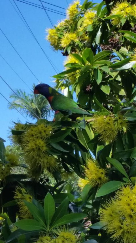 VILY Place - Accommodation Batemans Bay 14