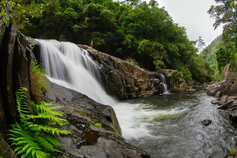 Coral Tree Inn - Accommodation Batemans Bay 40