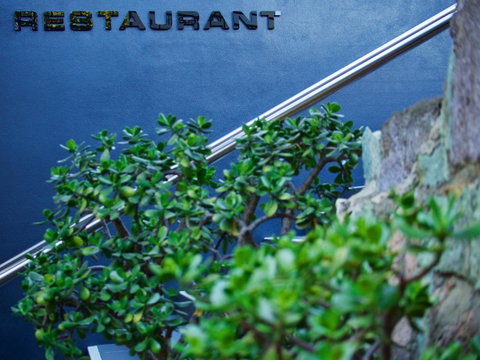 Soho Brisbane - Accommodation Batemans Bay 22