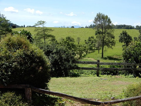 Malanda Manor Guesthouse - Accommodation Batemans Bay 17