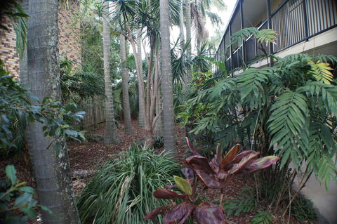Best Western Airport 85 Motel - Accommodation Batemans Bay 34
