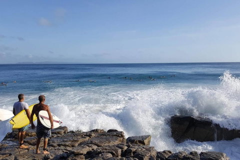 Beautiful Home- Walk To Beach-Short Drive To Noosa - Accommodation Batemans Bay 6