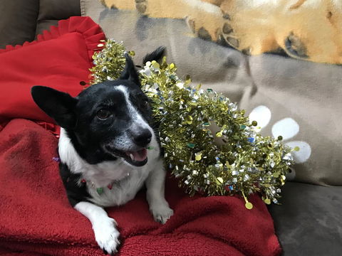 Nanango Star Motel - Accommodation Batemans Bay 14