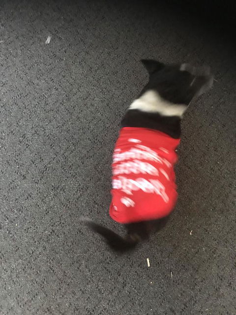 Nanango Star Motel - Accommodation Batemans Bay 1