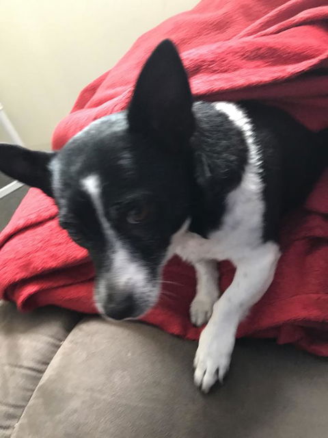 Nanango Star Motel - Accommodation Batemans Bay 15