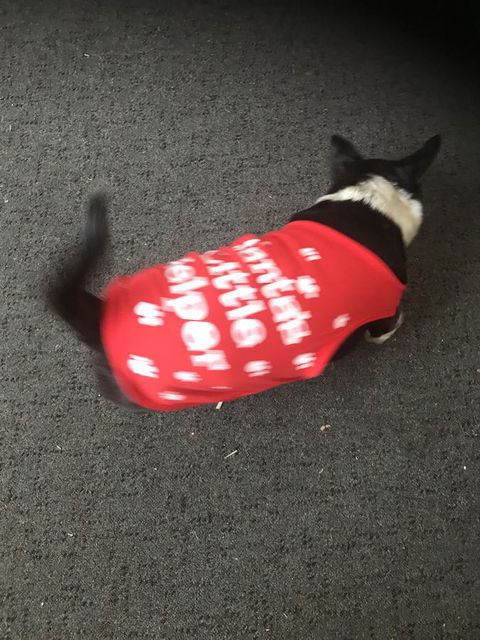 Nanango Star Motel - Accommodation Batemans Bay 2