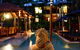 Hibiscus Resort & Spa - Official Onsite Reception & Check In - thumb 7
